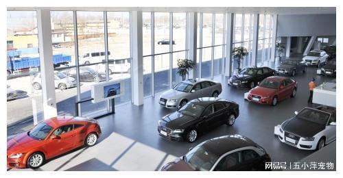 8200萬汽車消費券成功發放，汽車銷售行業或迎新爆發