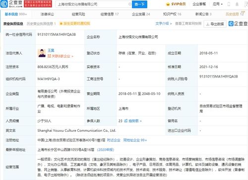 商務(wù)信息咨詢(xún)的價(jià)值與應(yīng)用